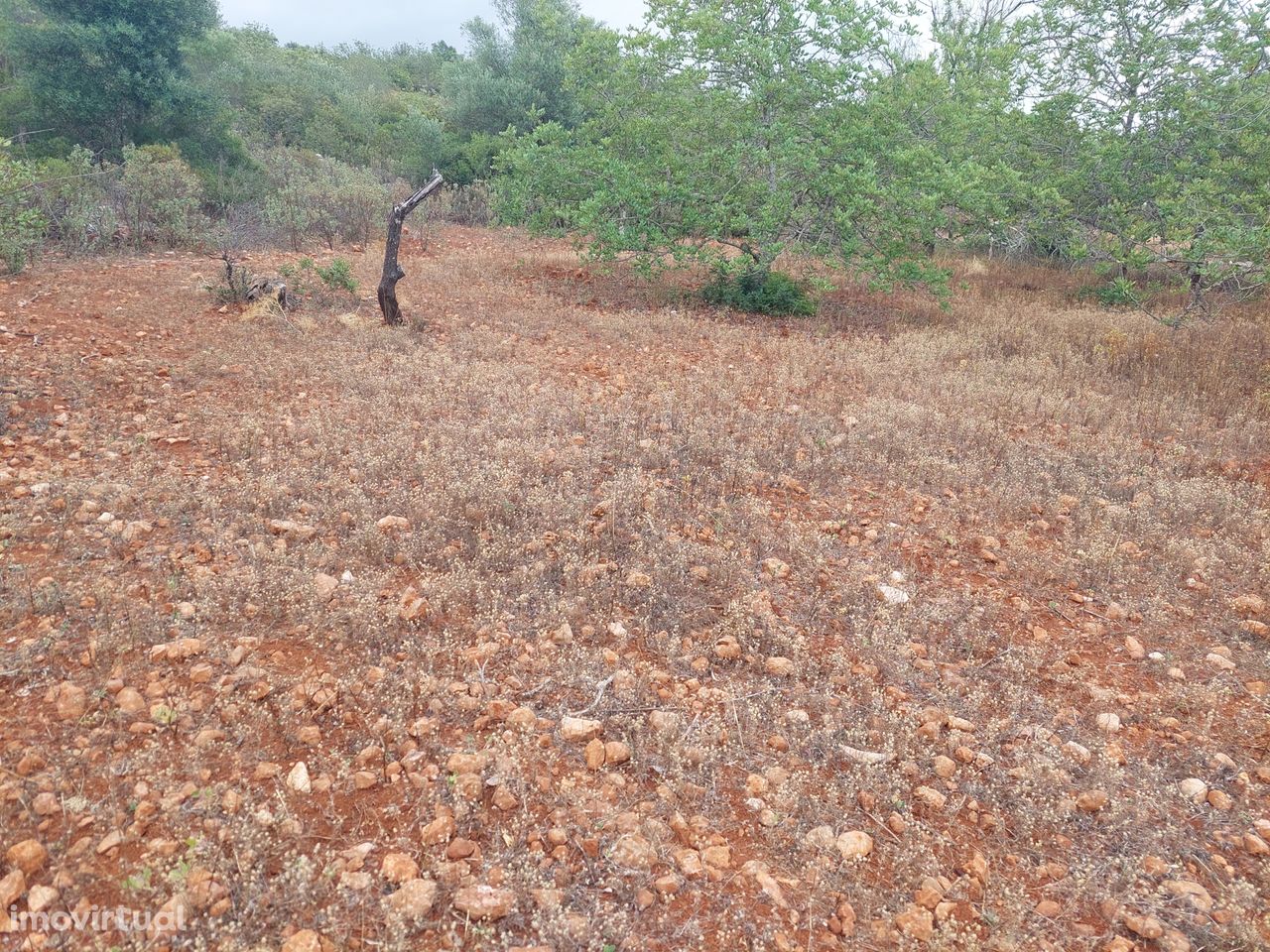 Lote de terreno Rústico com 9.700m2