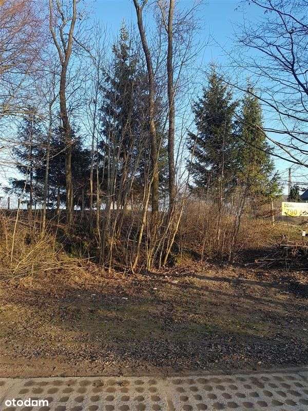 Tymień działki inwestycyjne,budowlane 5km od morza-8