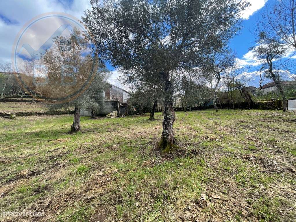 Moradia T4 em Chacim, Cabeceiras de Basto-30