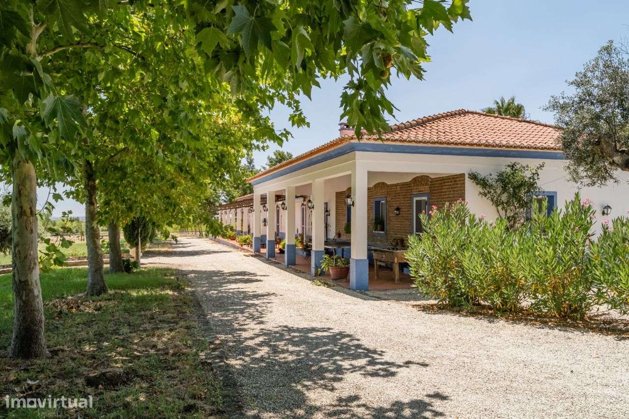 Quinta | Venda | ALENTEJO-34