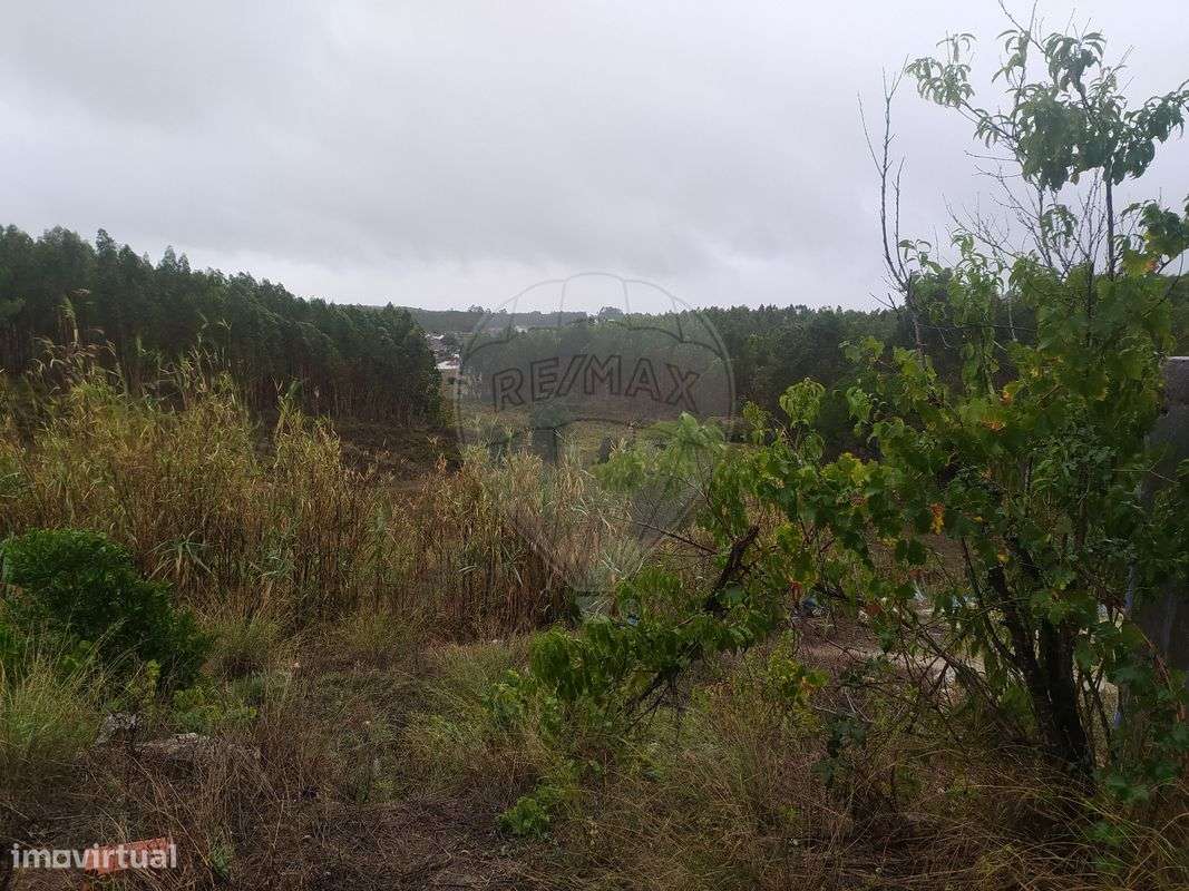 Moradia T5 para venda - Grande imagem: 4/14