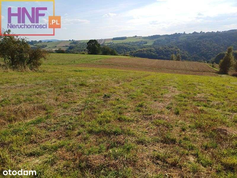 widokowa działka budowlana w Jańczowej 25ar - Pełny obrazek: 4/11