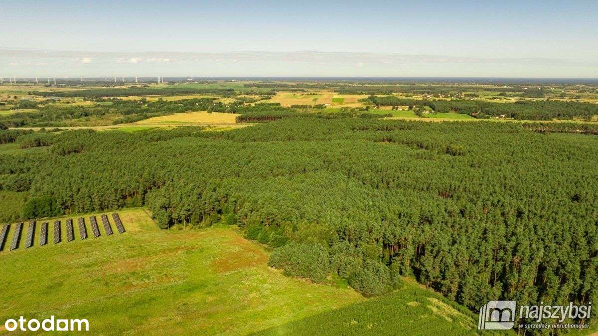 Charzyno- Działka Na Sprzedaż - Pełny obrazek: 3/10