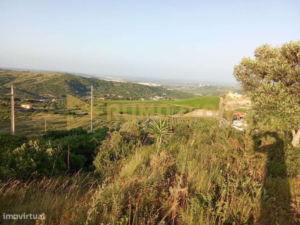 Moinho para recuperar, junto a Refugidos - Grande imagem: 5/10