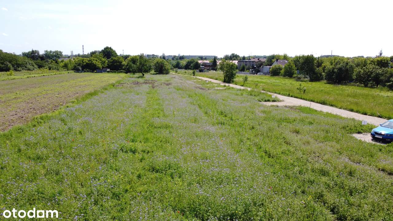 5x działek budowlanych 20m x 28m  - Nowa Lokalizacja - Tylko Nowe Domy - Pełny obrazek: 4/9