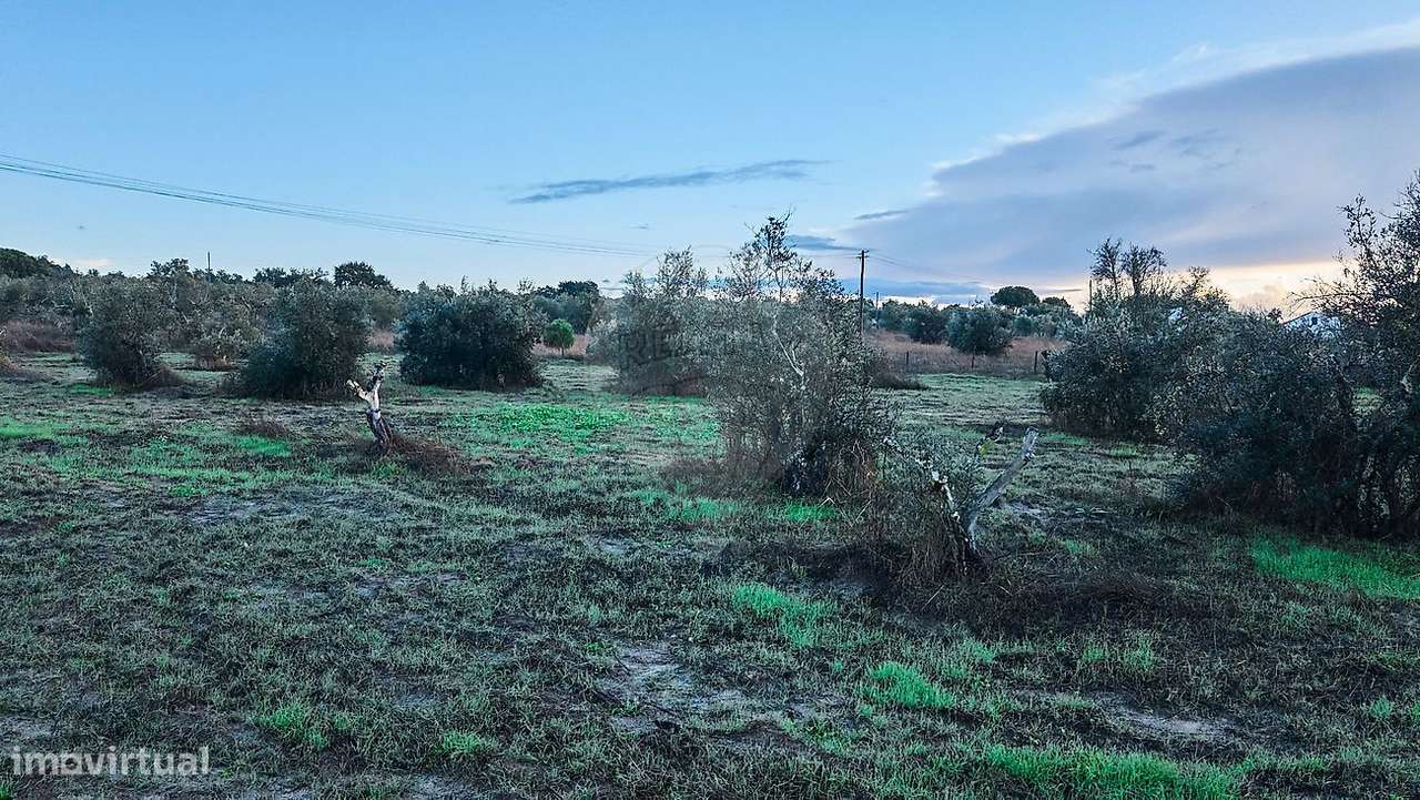 Terreno  para venda-13