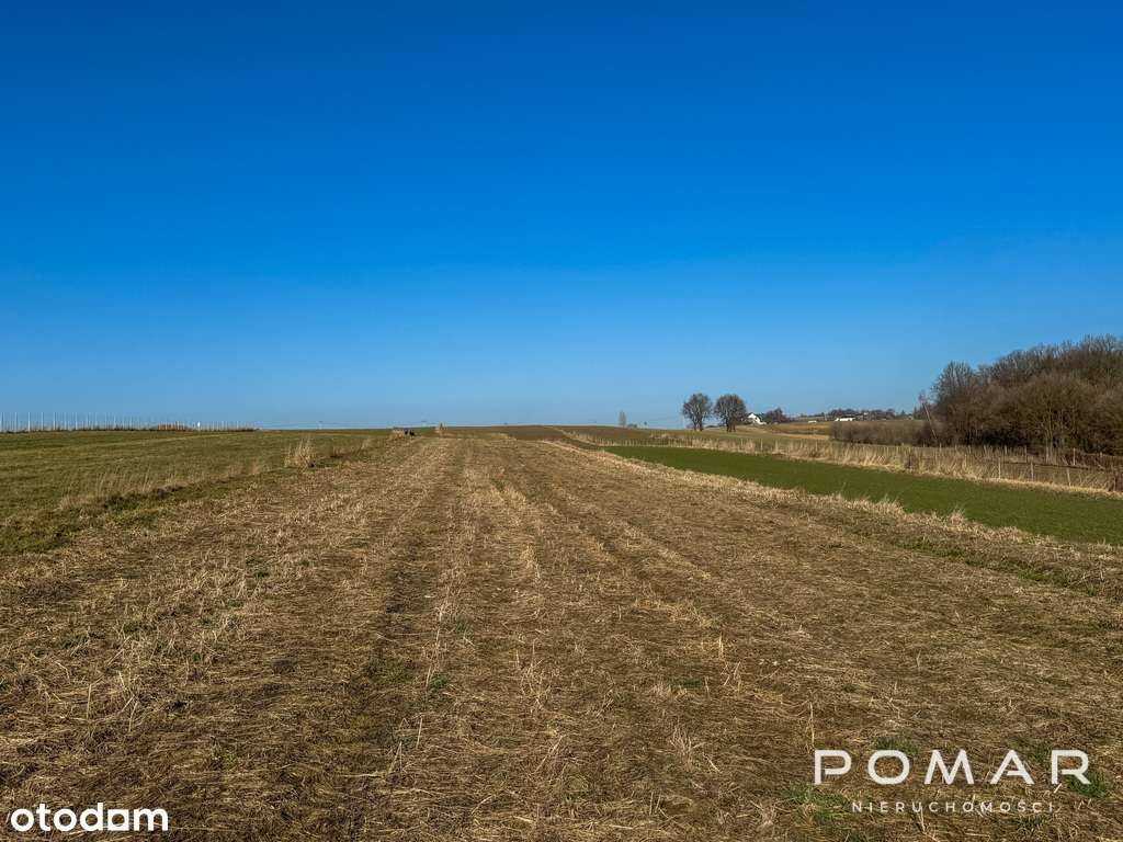 Duża działka w spokojnej okolicy! Tu jest pięknie!-1