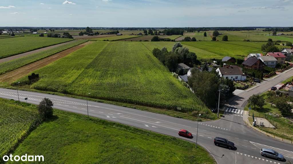 Działka z potencjałem przy głównej drodze - Pełny obrazek: 2/8