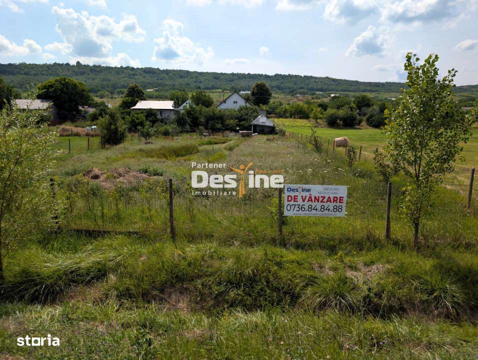 Casa 170 mp D+P+M cu 2400 mp teren la asfalt, IAZ in curte, loc. Osoi - Imagine principală: 2/18