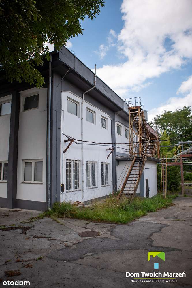 Hala-Magazynowo - Produkcyjna 3100,30m2 Bydgoszcz-5