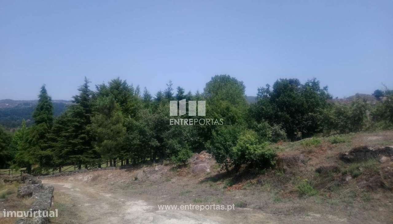 Venda Terreno com possibilidade de construção, Soalhães, Marco de C - Grande imagem: 3/29