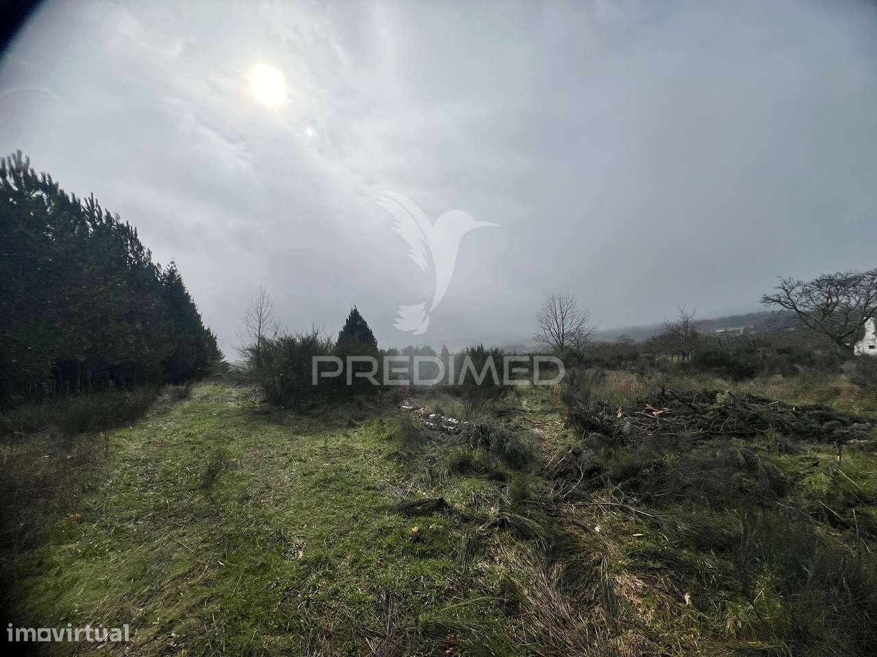 Terreno Rustico Penela Da Beira - Grande imagem: 3/4