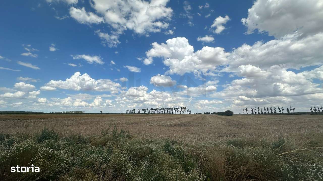 Teren Stefanesti - Imagine principală: 2/4