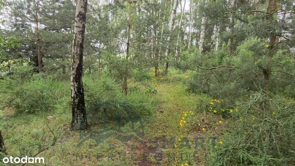 Urocza działka za miastem, Tuszyn, Wodzin-18