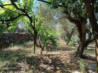 Terreno Agrícola em Poiares de 1900,00 m2 - Grande imagem: 5/28