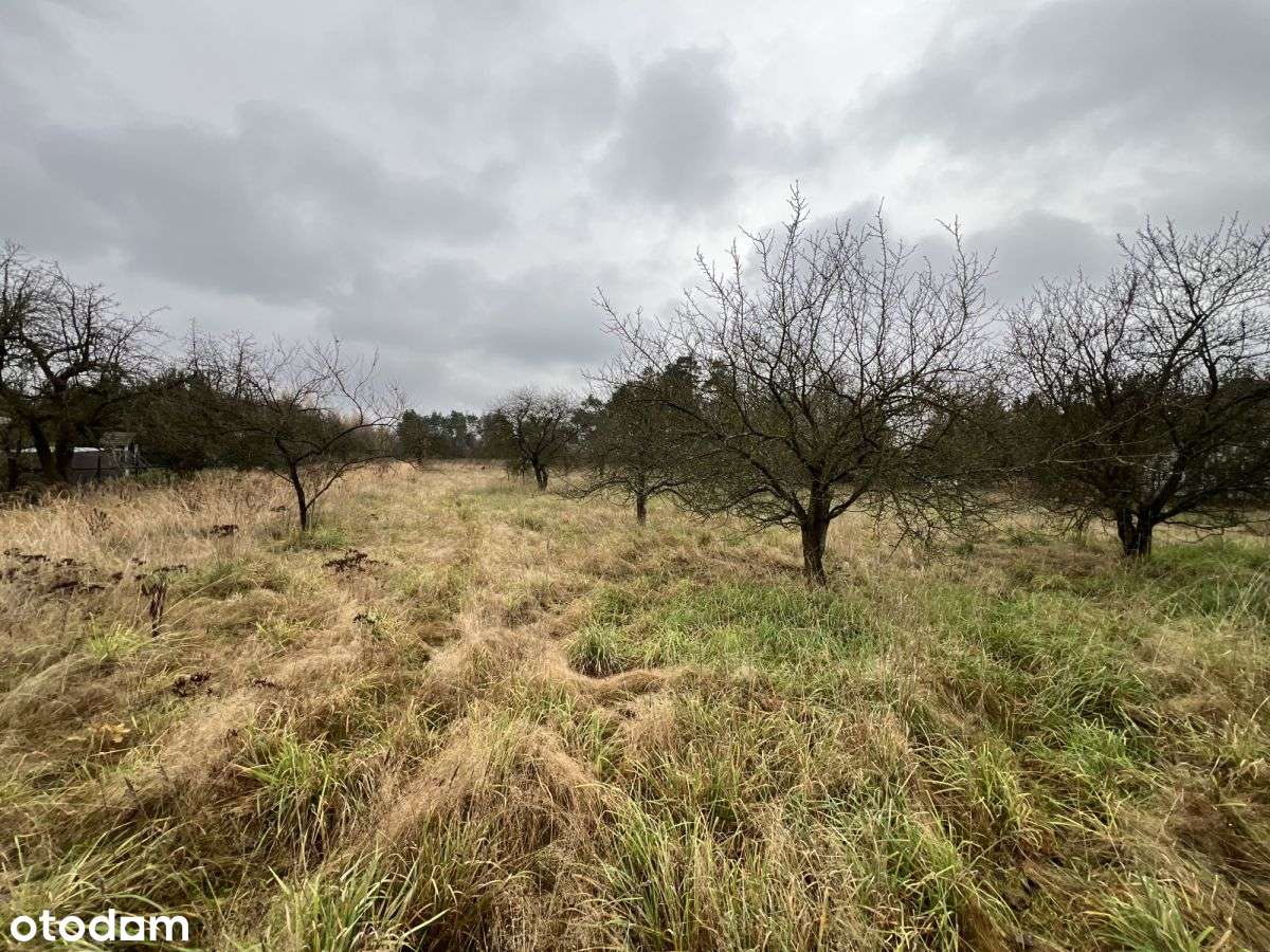 448292 - Pełny obrazek: 4/12