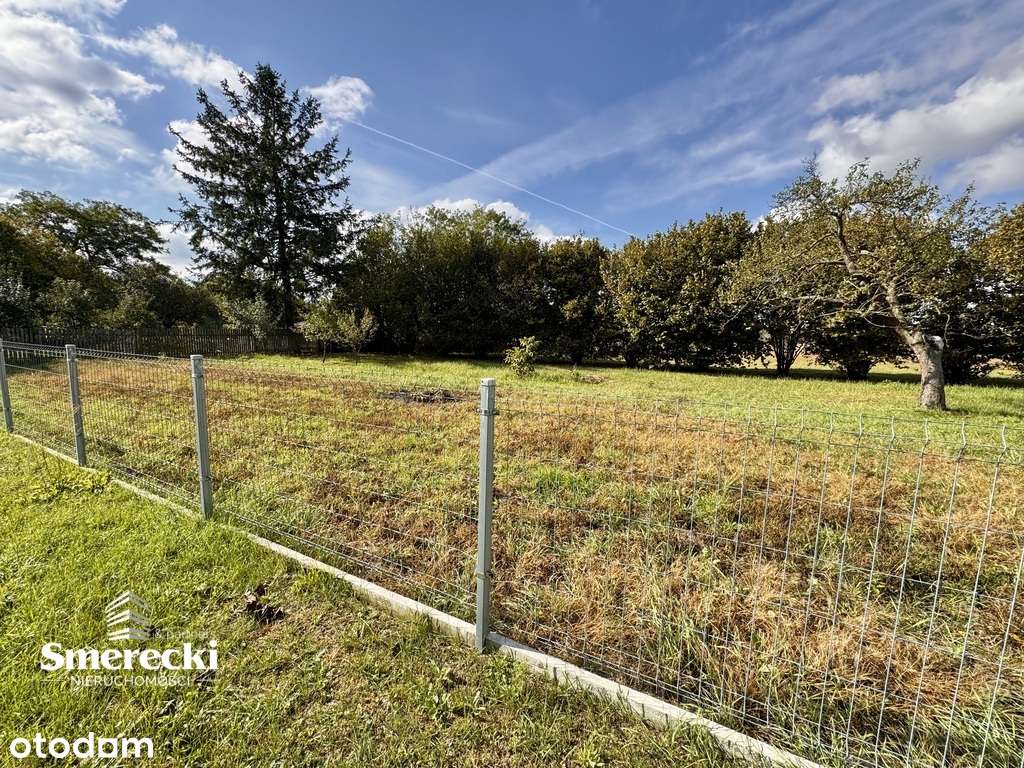 Działka zagrodowa blisko Firleja - Pełny obrazek: 5/10