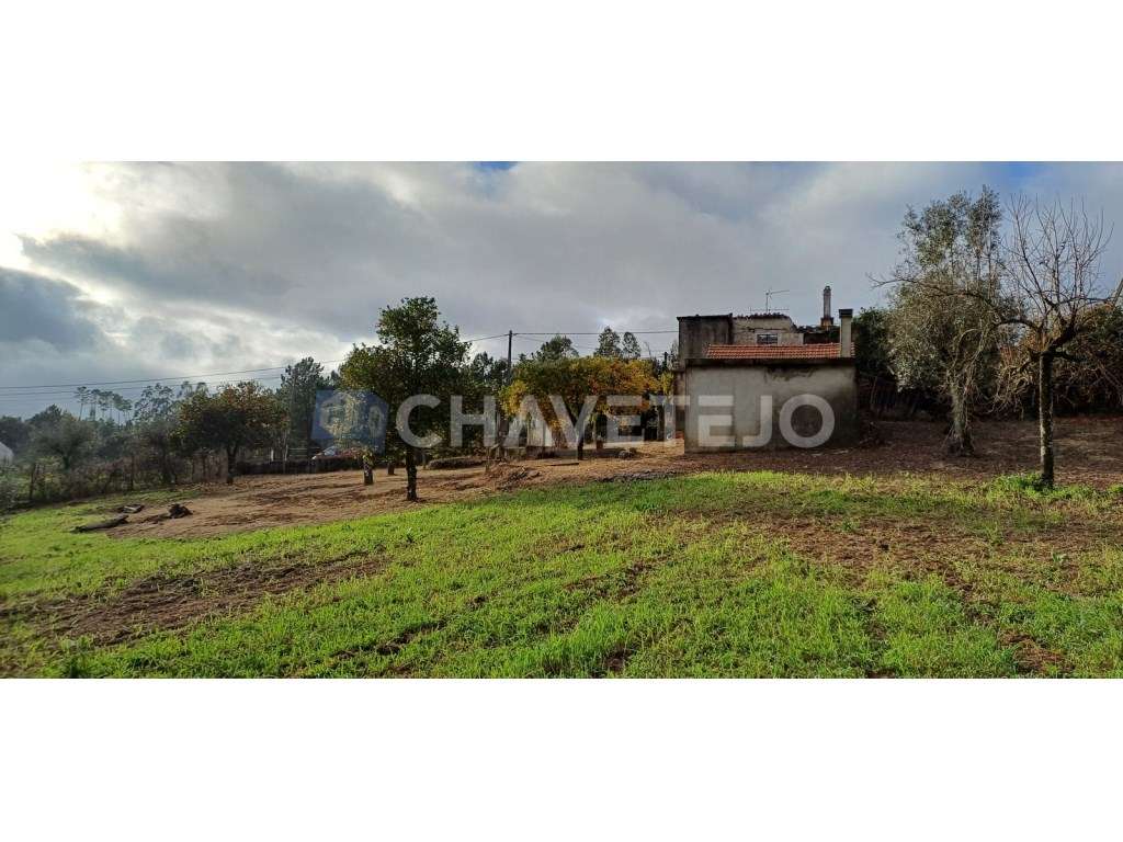 Casa Antiga Com Arrecadação e Terreno Para Recuperar, Cernache do B...-29