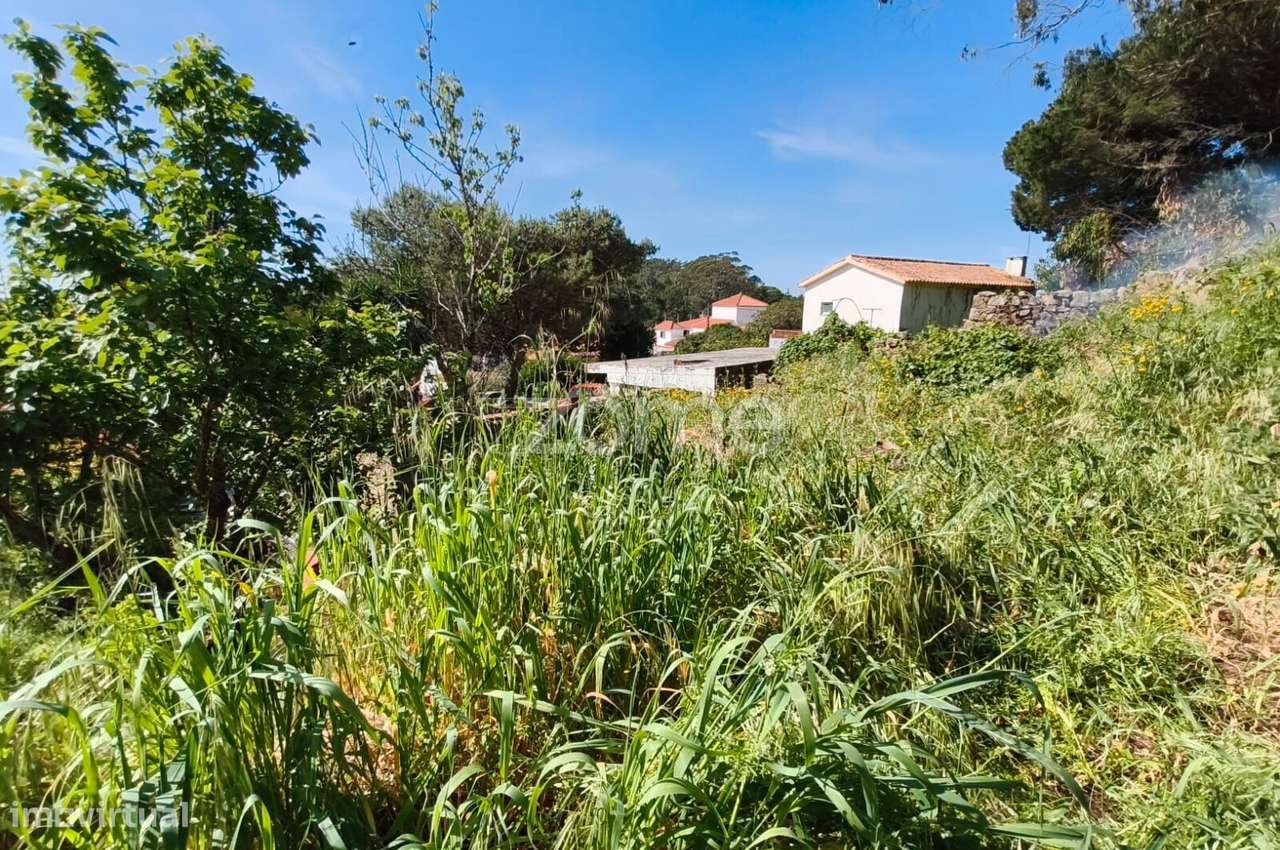 Propriedade única com 1.928 m² | Malveira da Serra-37