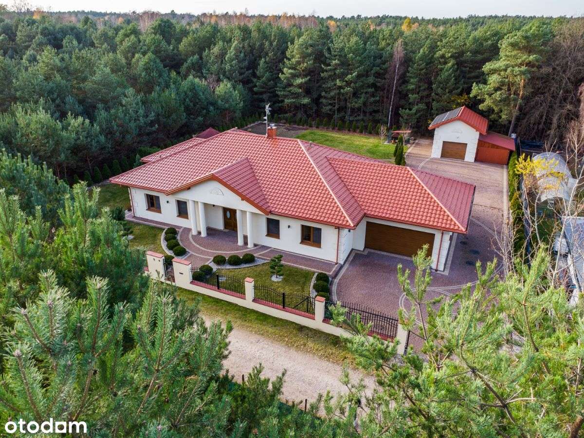 Parterowy dom pod lasem z 2020r! - Pełny obrazek: 4/20