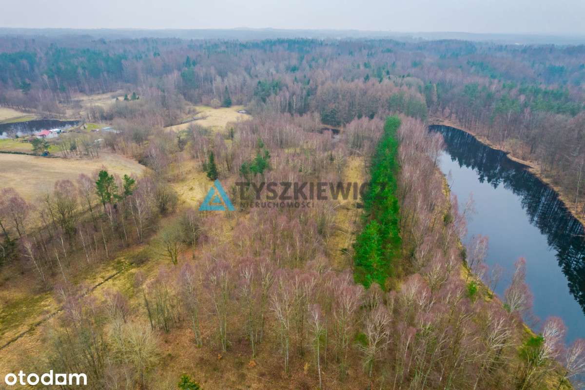 Działka rolna w malowniczej, spokojnej okolicy - Pełny obrazek: 4/20