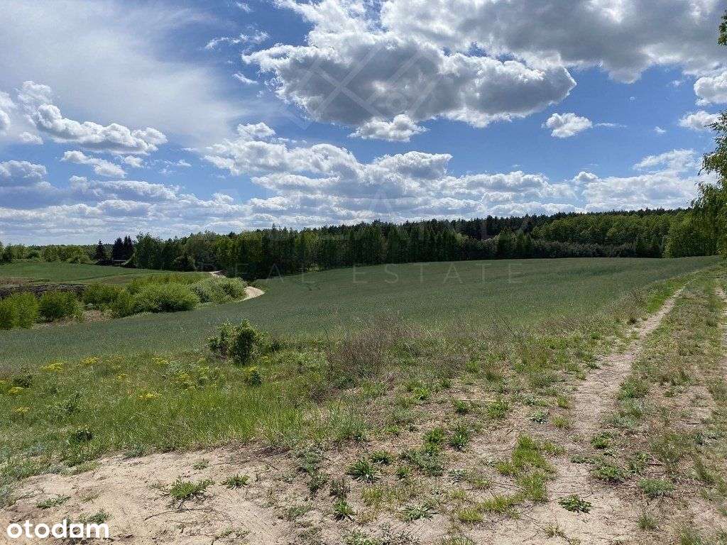 Działki obok lasu w Potrzanowie/ k Skoków - Pełny obrazek: 5/6