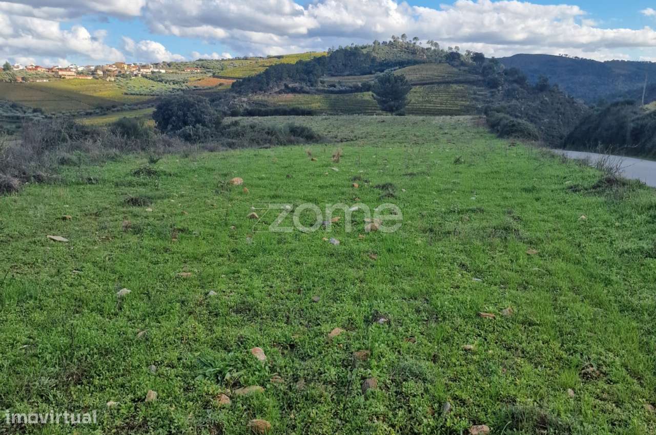 Terreno rústico , Murça - Grande imagem: 3/9