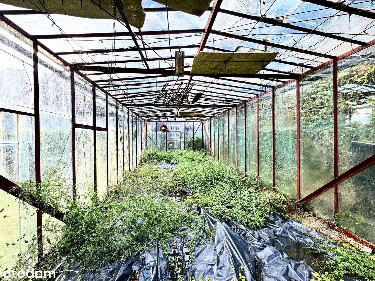 Komfortowy dom z ogromnym garażem i dużą działką, piękne tereny Kobiór-13