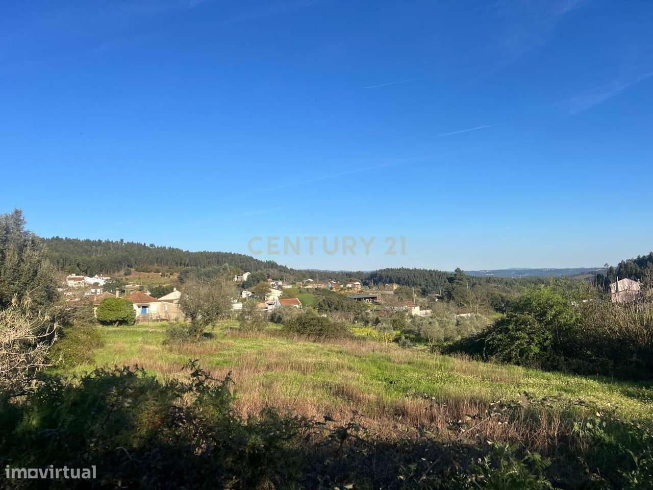 Oportunidade Única: Ruína em Figueiró dos Vinhos - Grande imagem: 5/7