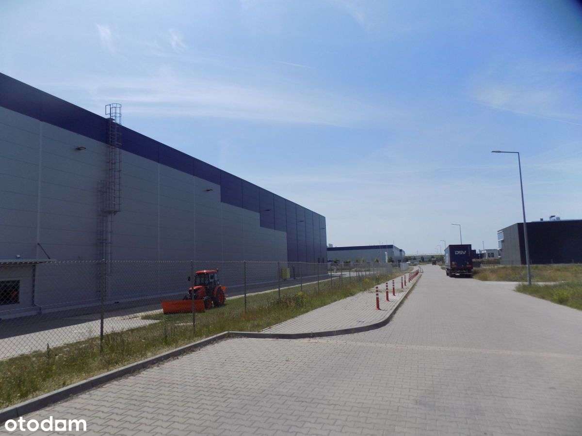 Działka, 3 320 m², Plewiska-4