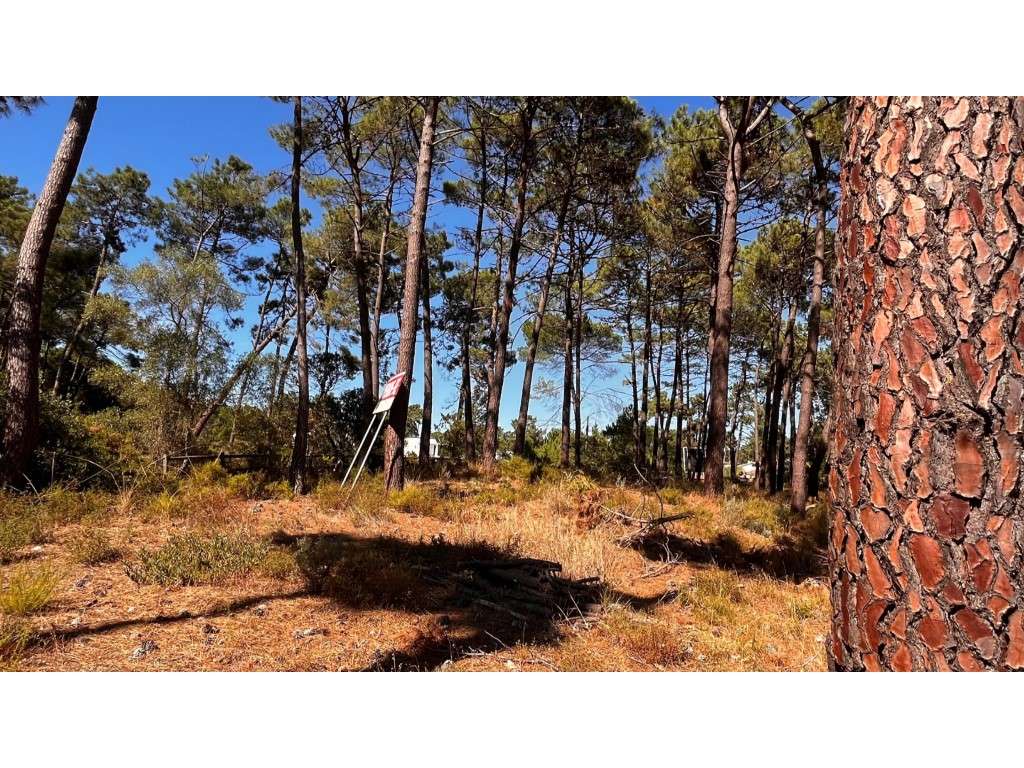 Terreno premium na exclusiva Herdade da Aroeira-7