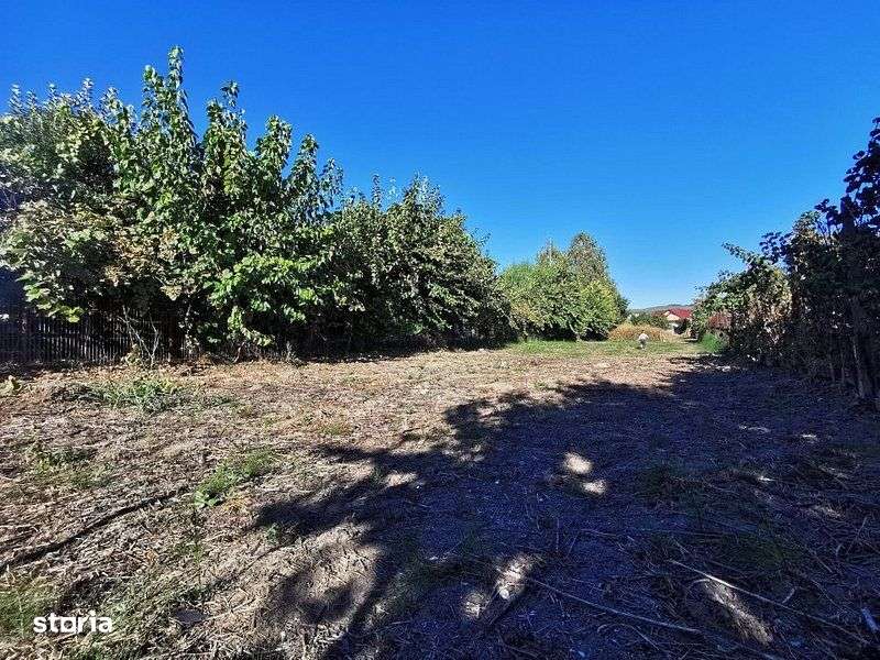 Teren de vanzare in zona Ostroveni-3