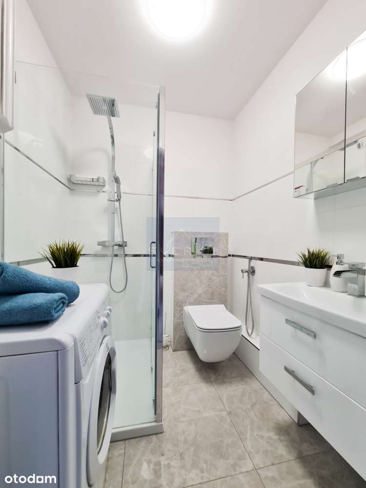 M-2 Północ do wynajęcia parter - Pełny obrazek: 2/9