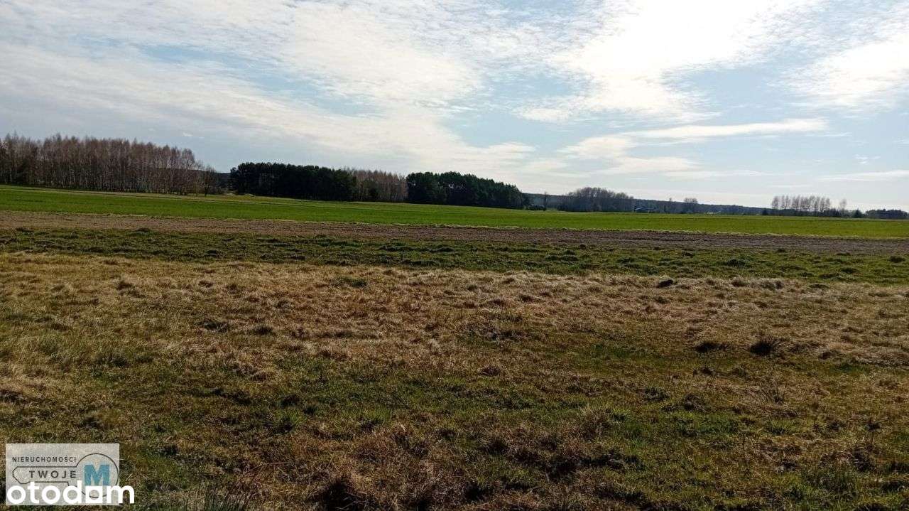 Teren inwestycyjny z rzeką mieszkaniowo-usługowy! - Pełny obrazek: 4/10