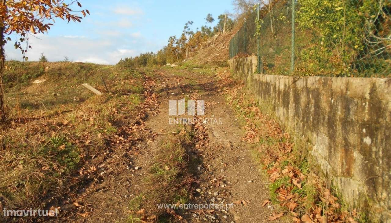Venda de Terreno para construção, Facha, Ponte de Lima. - Grande imagem: 3/30
