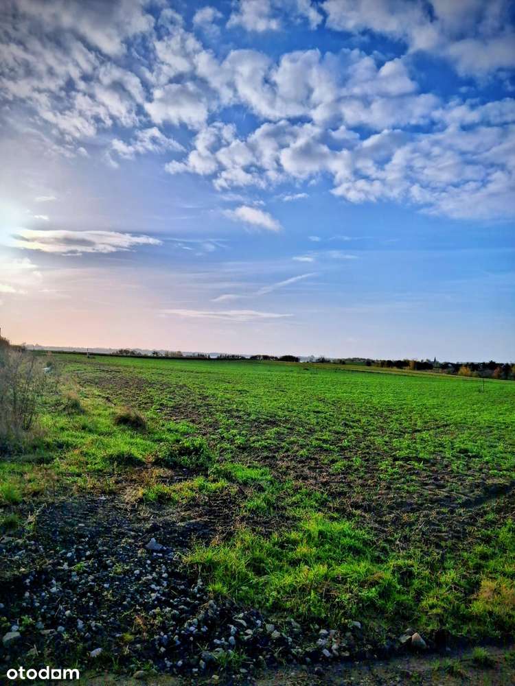 Powidz / działka z MPZP - Pełny obrazek: 5/5