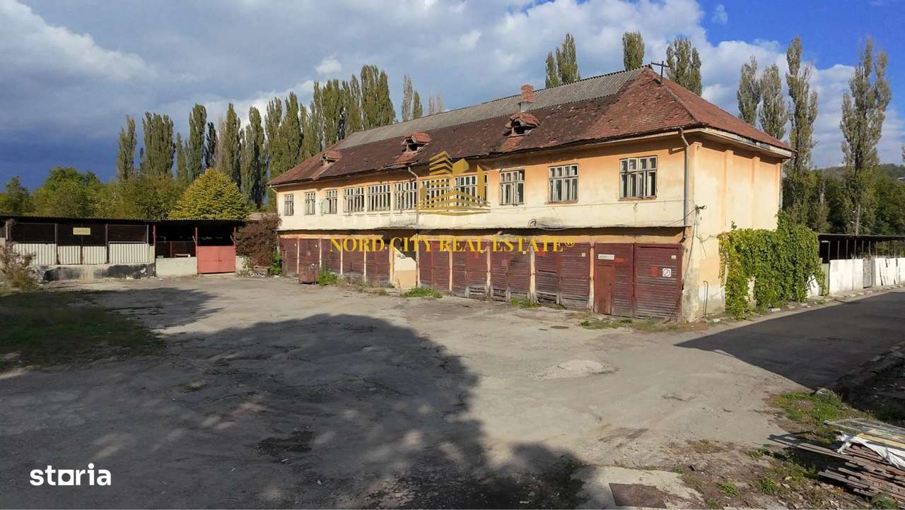 Platforma Industriala-8 ha -Fabrica-Hale Productie-21.500 mp-17