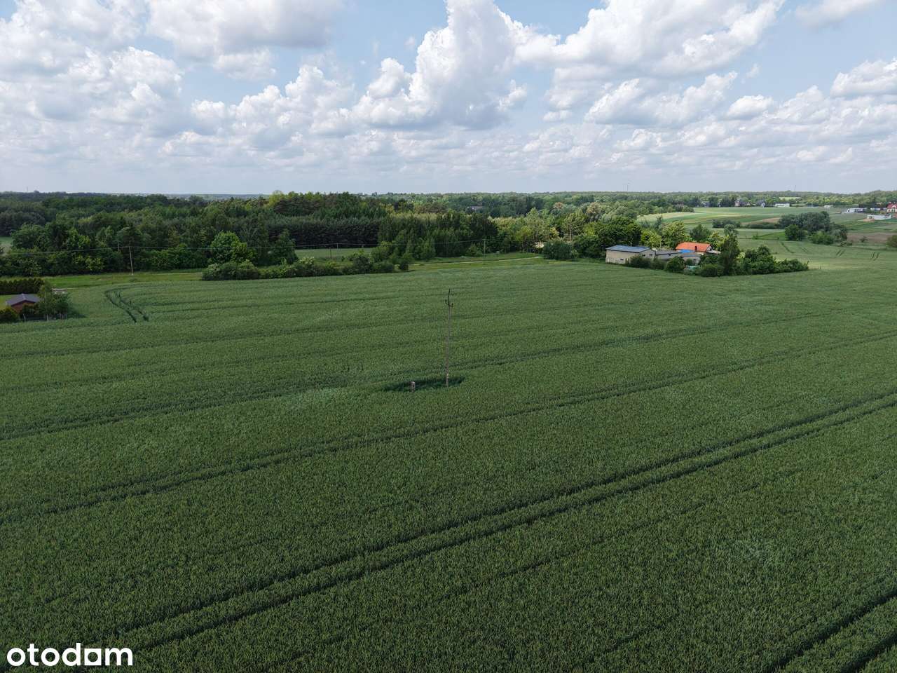 Działka z warunkami zabudowy| Konstantynów Łódzki-3