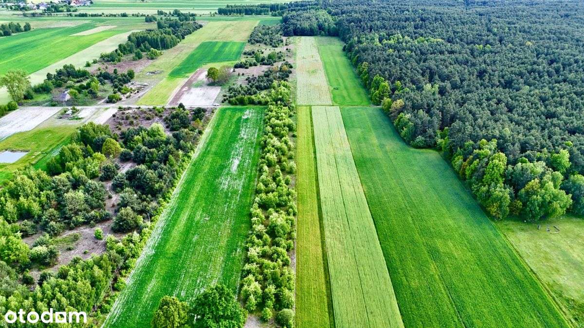 Sielsko i inwestycyjnie – 1,4 ha blisko Warszawy-3