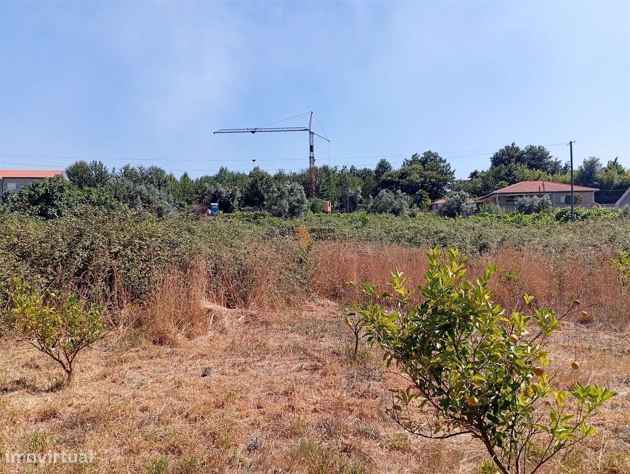 Terreno 3.000m2 Duas igrejas-9