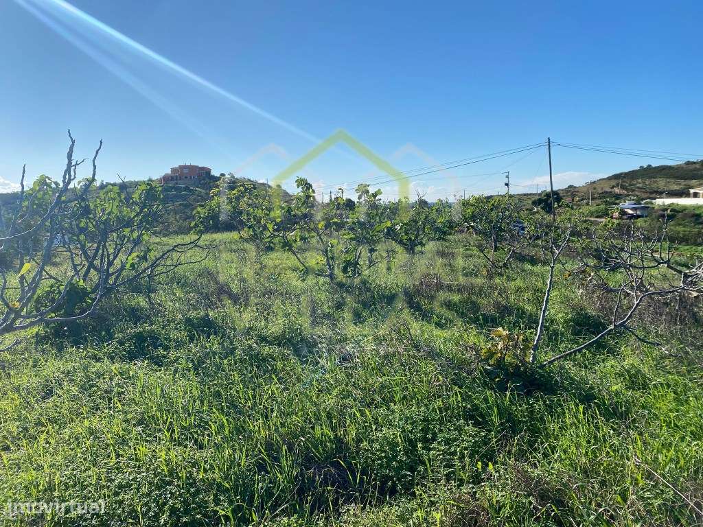 Terreno Rústico Praticamente Plano e Vista Serra Algarvia, Tavira - Grande imagem: 4/5