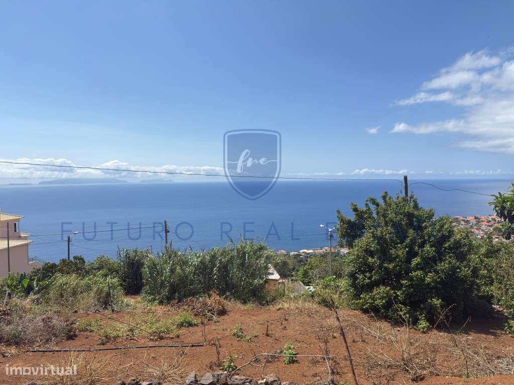 TERRENO | SANTA CRUZ | MORENA - Grande imagem: 5/30