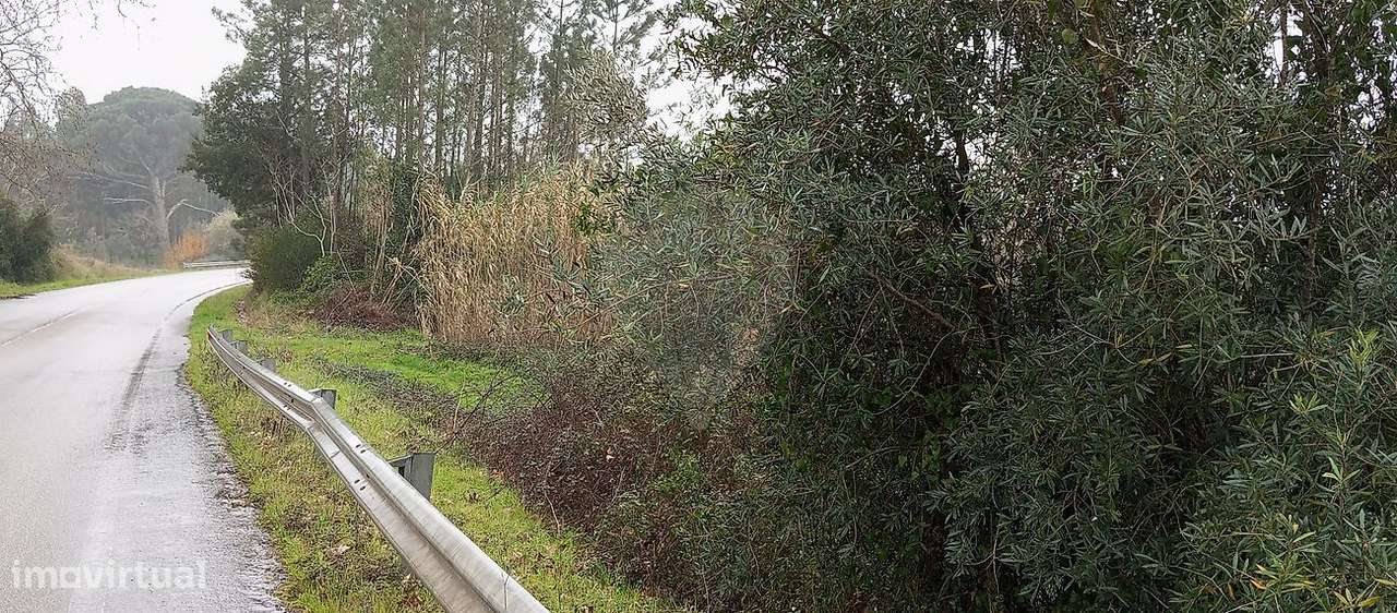 Terreno  para venda - Grande imagem: 4/4