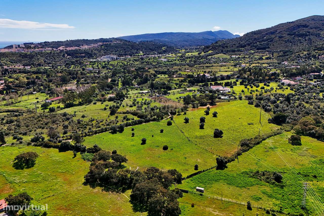 Terreno - Olival dos Freires ,Baixa de São Paulo,-3