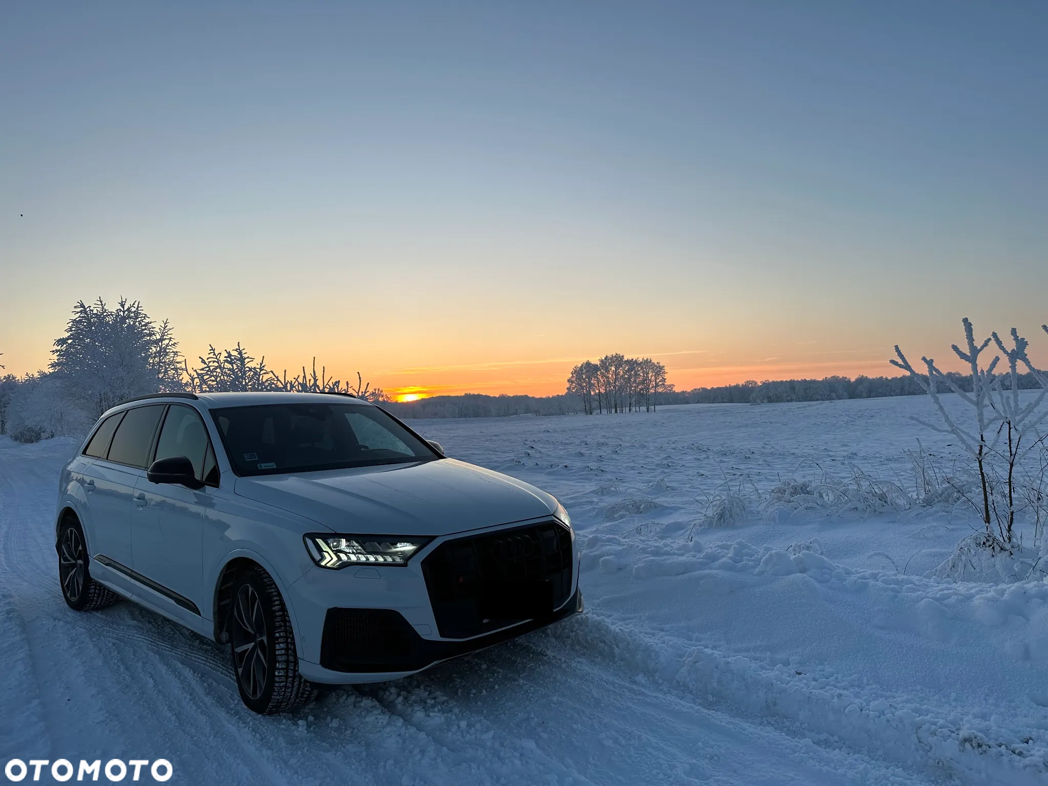 Audi SQ7 - 7