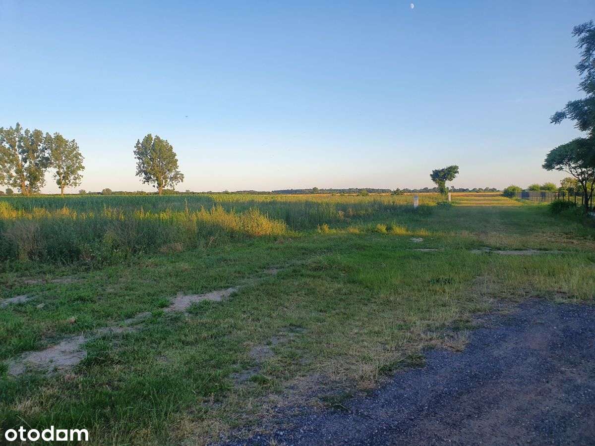 Goniczki k/Wrześni działka budowlana-11