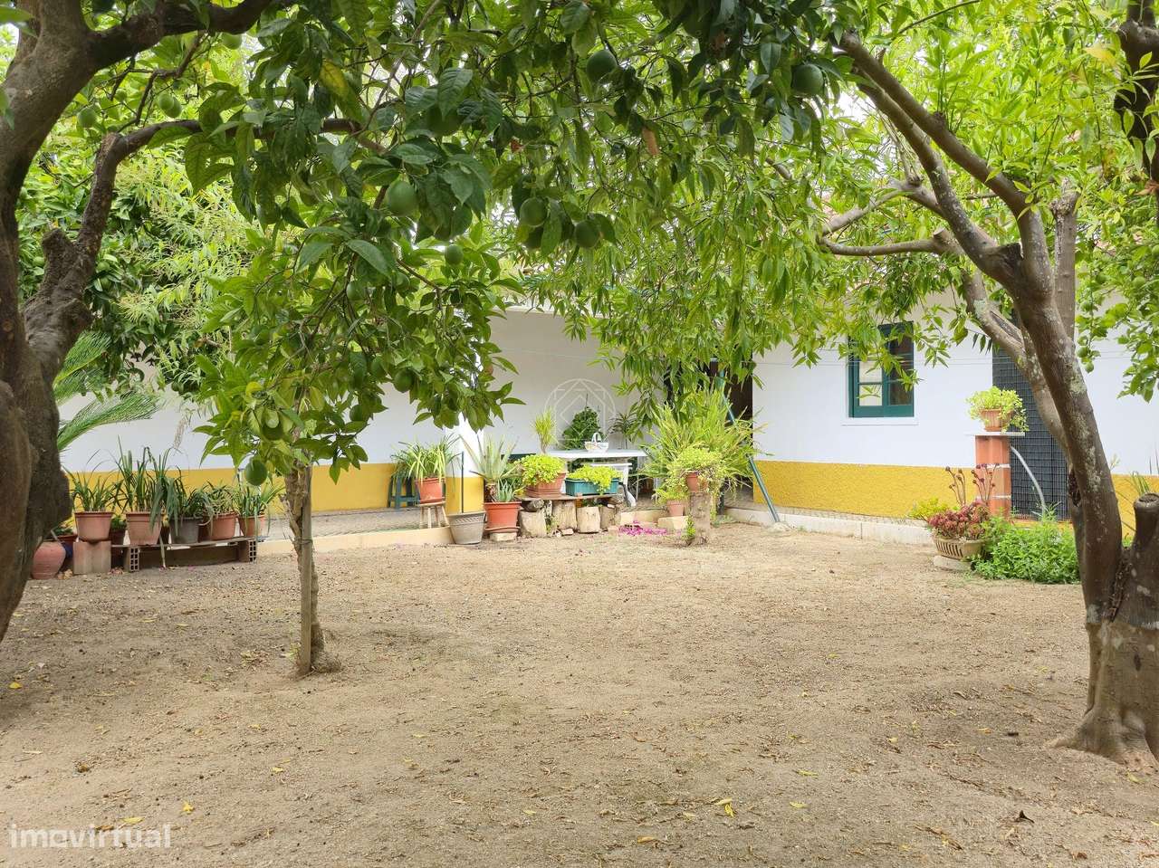 Moradia T3 Térrea Isolada com Jardim, Garagem e Churrasqueira | a 5 Mi-46