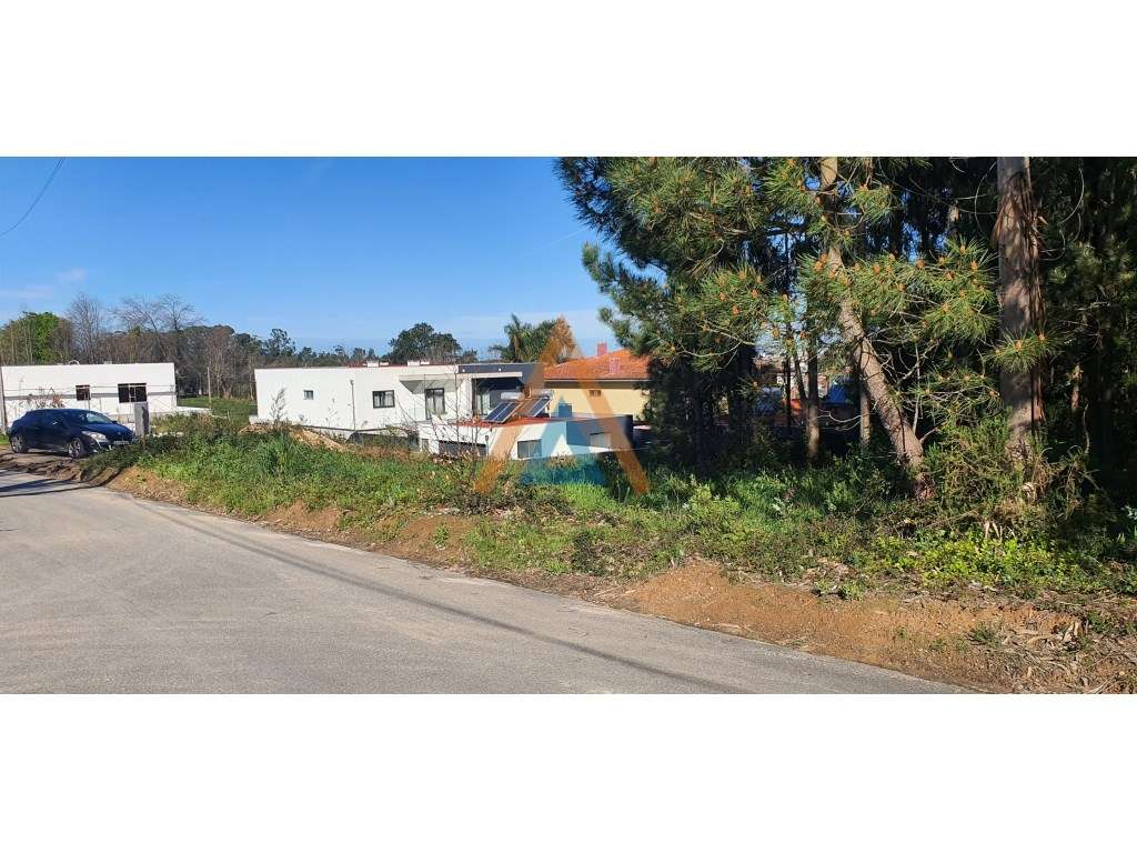 ESTE É O TERRENO QUE PROCURA - Grande imagem: 4/6