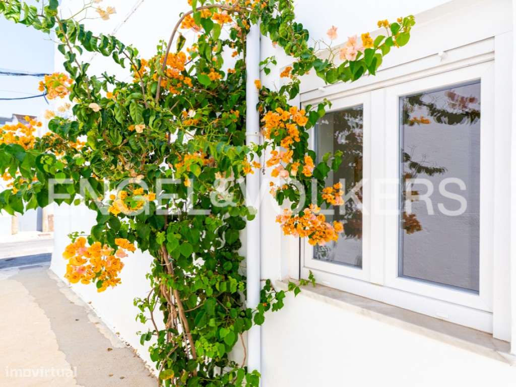 Casa Olivia-20