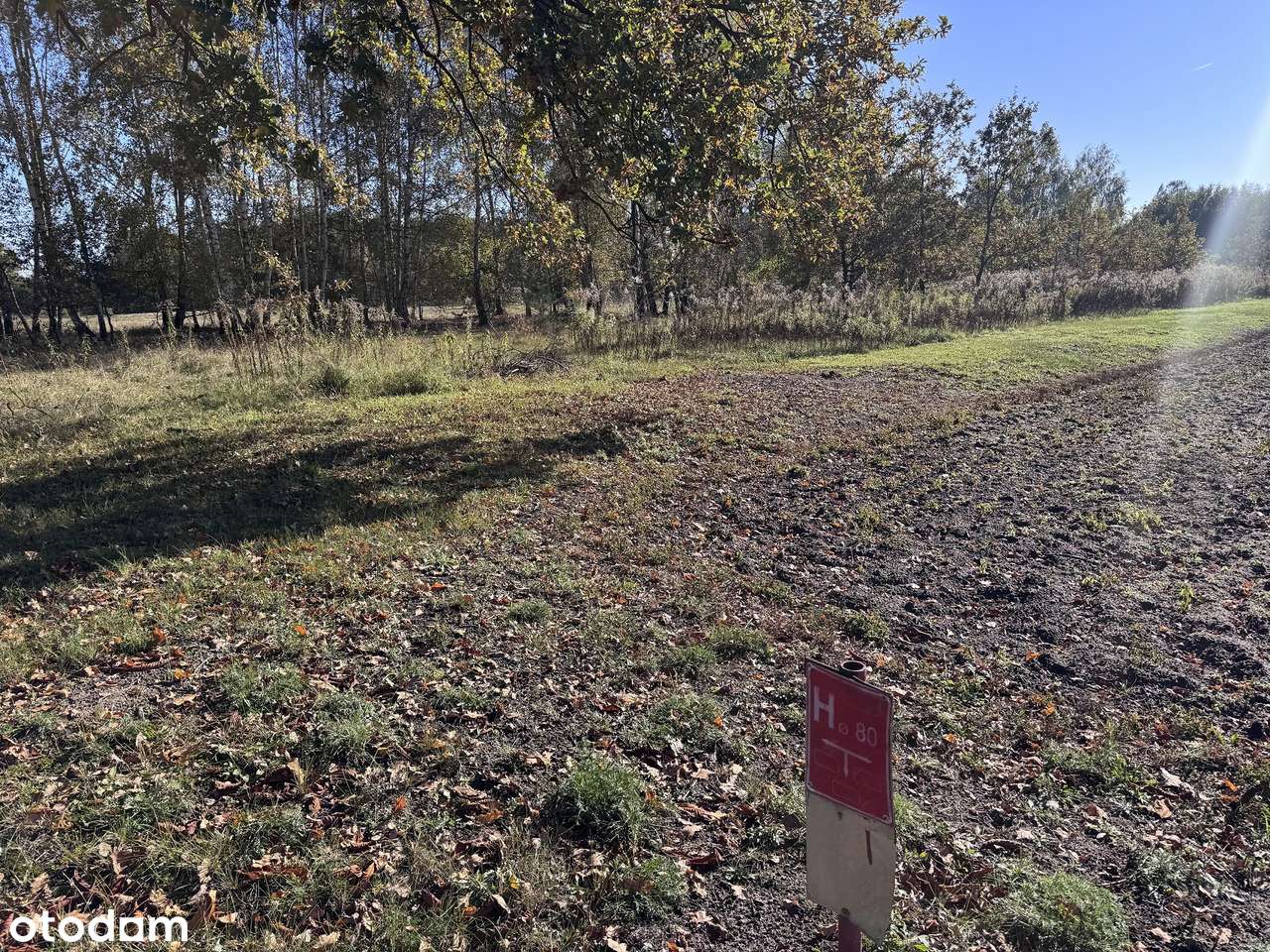 Duża działka pod miastem, WZ dom jednorodzinny - Pełny obrazek: 4/7